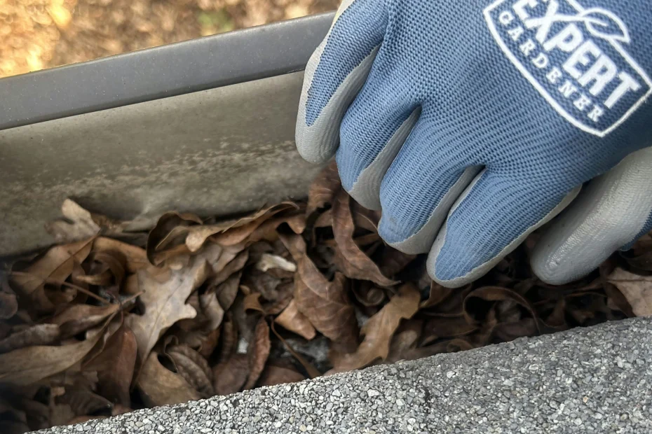 Gutter Cleaning Royal Pines