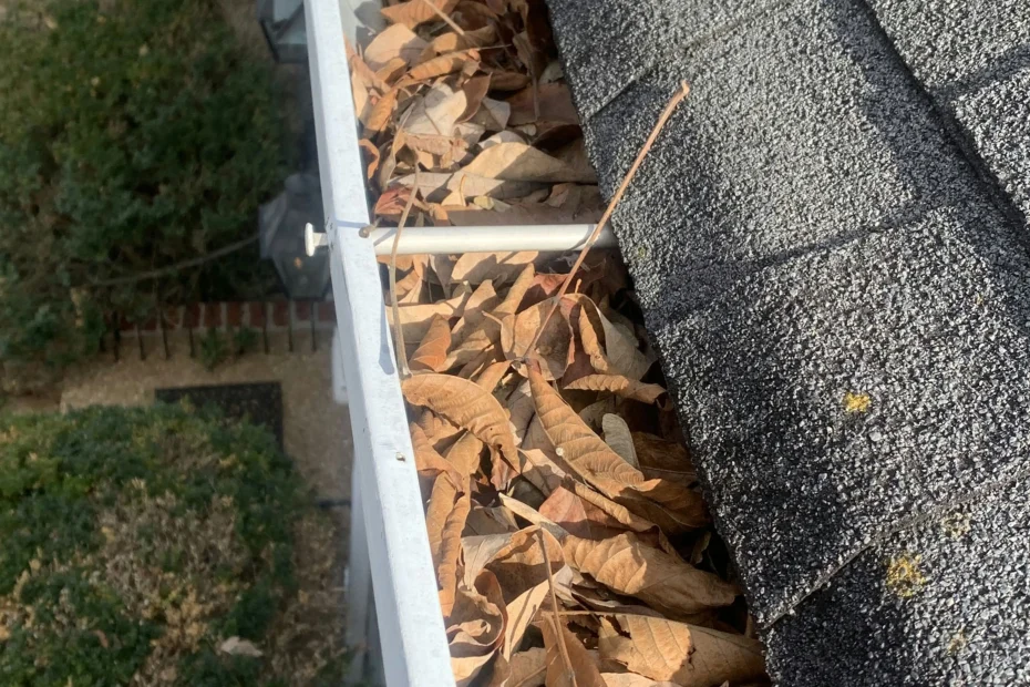 Gutter Cleaning Royal Pines