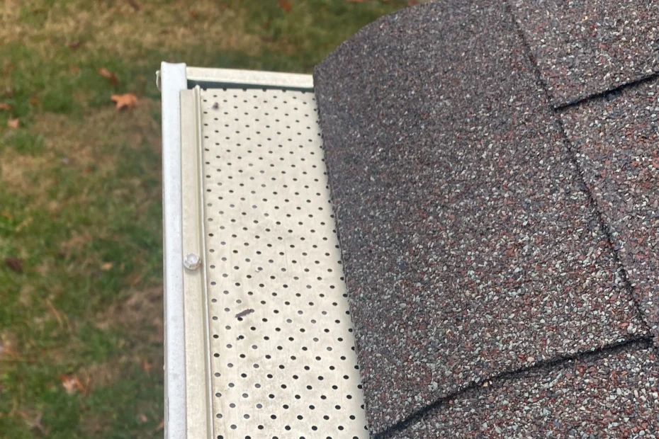 Gutter Cleaning Royal Pines