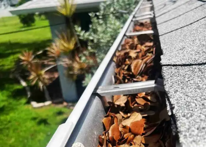 Gutter Cleaning Royal Pines home page